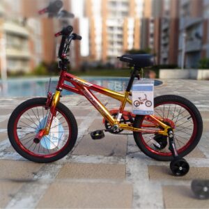 Bicicleta tipo BMX