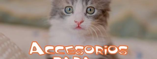 Accesorios para gatos