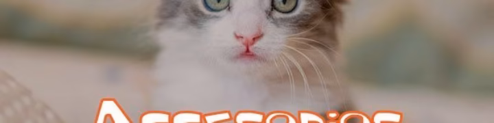 Accesorios para gatos