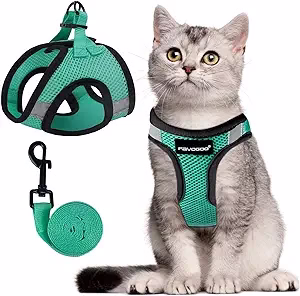 arnes para gatos 1