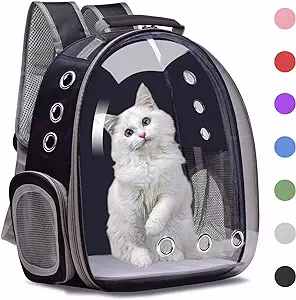 mochila para gatos 1